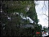 shannonfalls-059.jpg